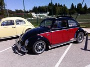 Beetle Show Rioz (40)